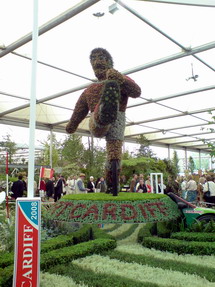 Click for larger image