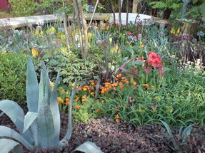 The Lloyds TSB Garden 
Trevor Tooth
Click for larger image