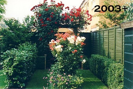 My Garden 2003+