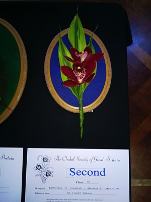 Second Prize for buttonhole