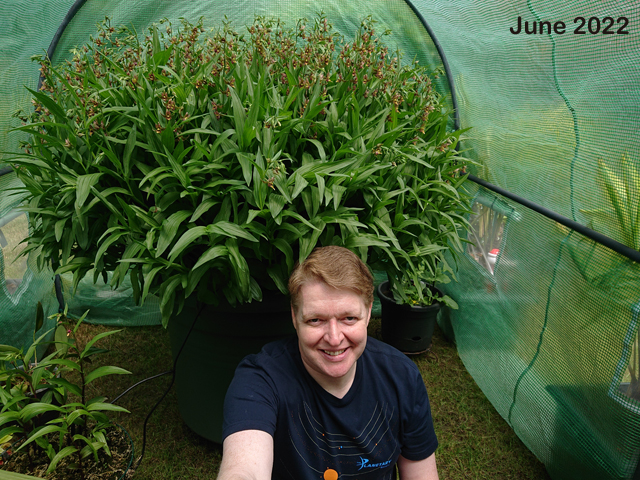 Stuart Meeson Guinness World Record Epipactis orchid flowering June 2022