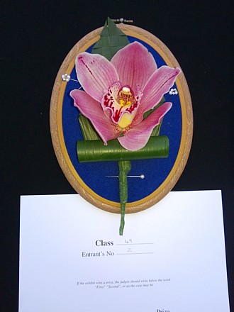 Buttonhole of cymbidium orchid + aspidistra (Second Prize)