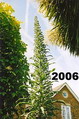 Photos 2006 onwards